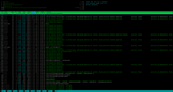 htop default view